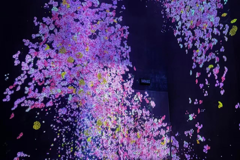 Macao teamLab: Kids Color & Light Digital Quest Ticket