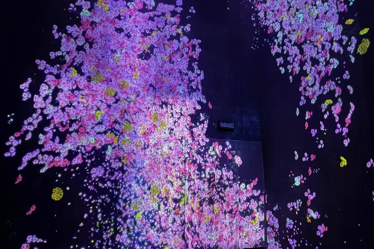 Macao teamLab: Kids Color & Light Digital Quest Ticket