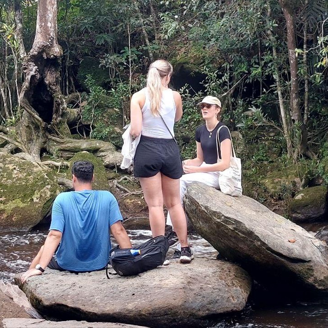 Colagem de mídia