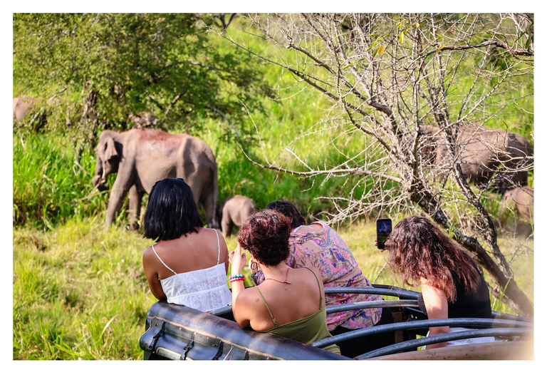 Sigiriya: Minneriya Shared Safari | Kaudulla & Hurulu Eco Kaudulla National Park