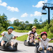 Busan: East Coast Private Tour with Luge Ride & Temple Visit
