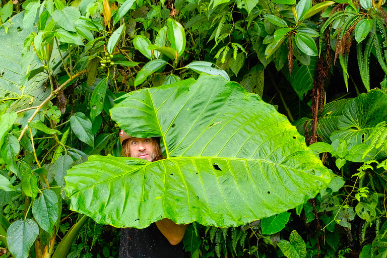 从基多出发的明多自行车之旅：探访安第斯雨林（Andean Chocó）从基多出发的米ンド自行车之旅：探访安第斯山脉的乔科地区