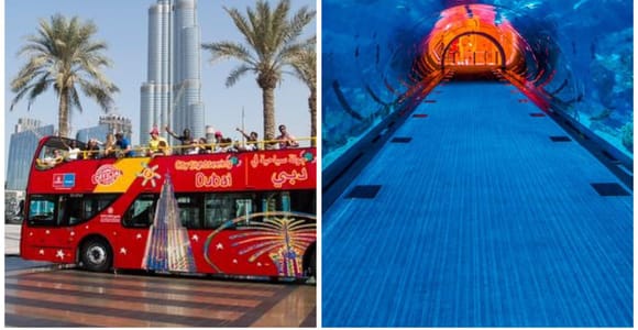 City Sightseeing Dubai Hop-On Hop-Off Bus + Aquarium Entry