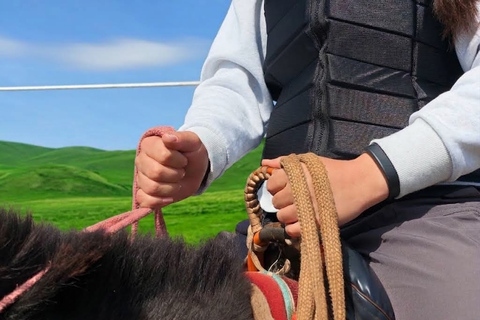 Mongolia: Horseback Riding Day Lesson and Grassland Ride