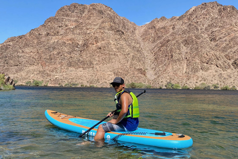 Plage de Willow : Location de paddle board
