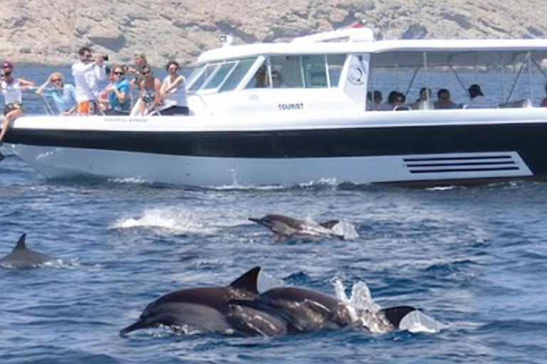 EXCURSIÓN CON DELFINES Y SNORKEL