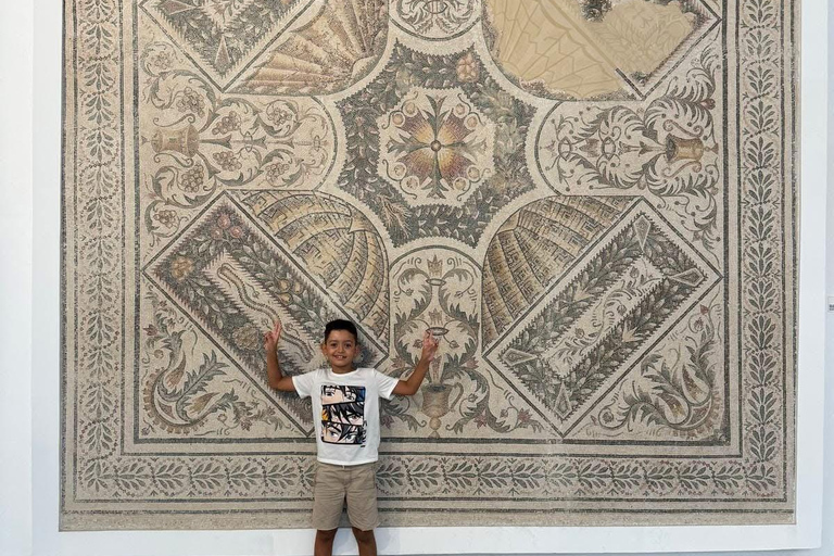 Tunis: Medina & Bardo Museum Private Tour with Tickets