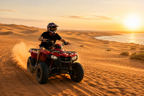 Doha: Layover Desert Safari, Camel Ride & Beach Resort