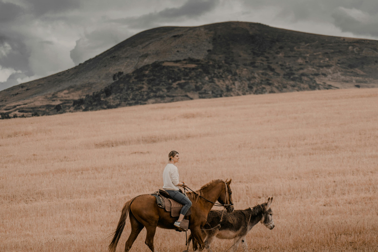 阿根廷：潘帕斯草原上的高乔骑马探险