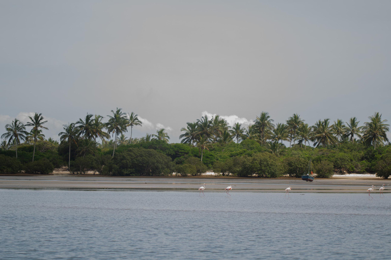 From Maputo: One Night Inhaca Island Getaway From Maputo: ONE Night Inhaca Island Getaway