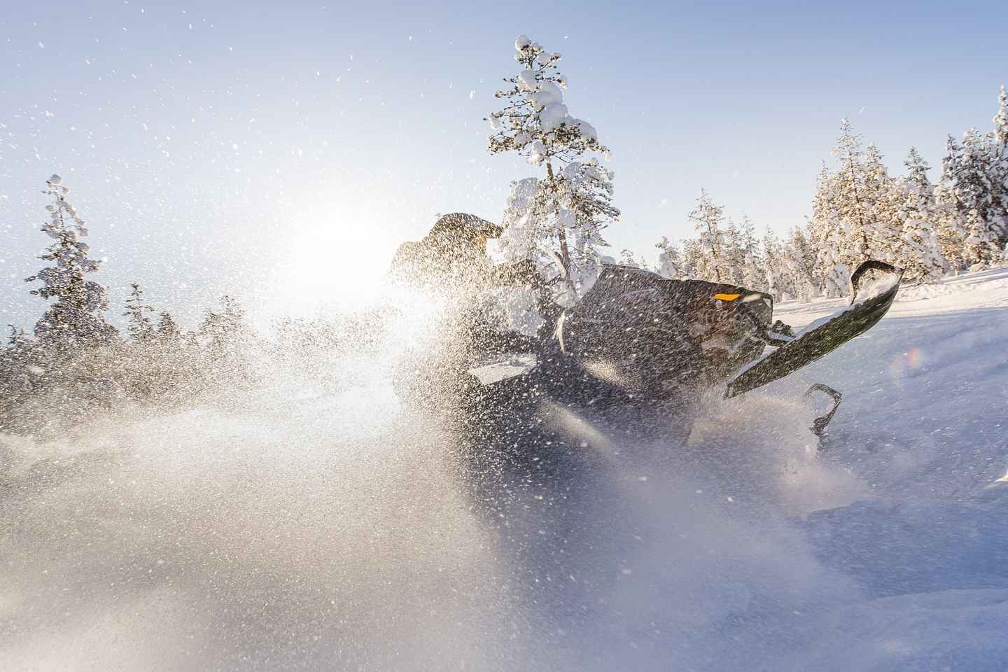 Rovaniemi: Backwoods Adventure Full Day Snowmobile Safari