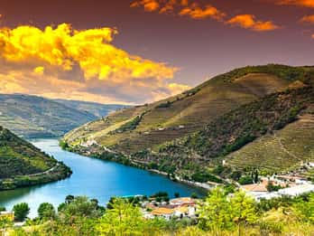 Porto: Tour privato di un giorno nella Valle del Douro