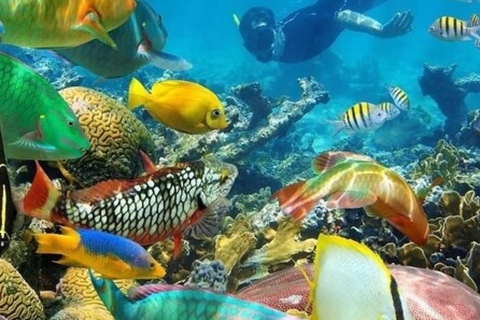 Zanzibar: Safari Blue Lagoon Tour with Snorkeling and Lunch