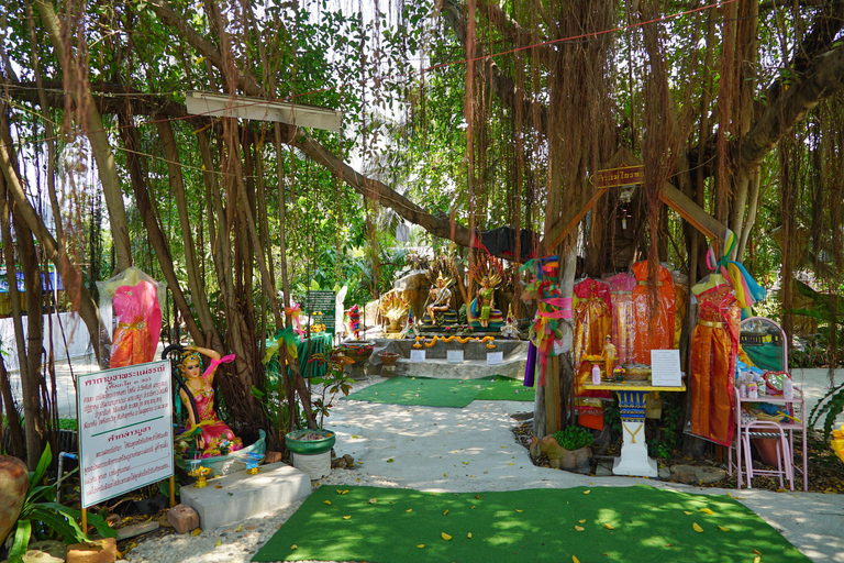 Bangkok Green Oasis Nature Bike Tour