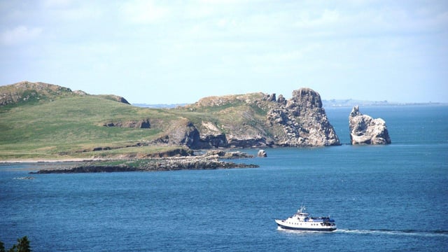 Dublin: Howth Cliffs und Ireland&#039;s Eye Bootstour