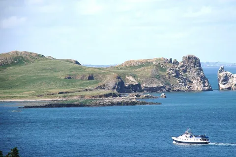 Dublin: Howth Cliffs e o cruzeiro de barco Ireland's Eye