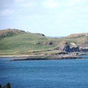 Dublin: Howth Cliffs and Ireland's Eye Boat Cruise