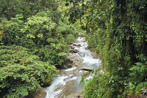 Cali: Tagesausflug zur Donau und zur Oase La Sirena. Ab CaliCali: Tagesausflug zur Donau und zur Oase der Meerjungfrau. Ab Cali