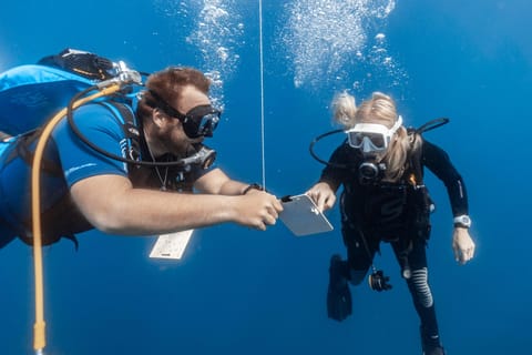 PADI Open Water Diving Kurs Teneriffa