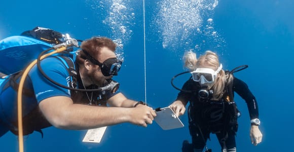 PADI Open Water Diving Course in Tenerife