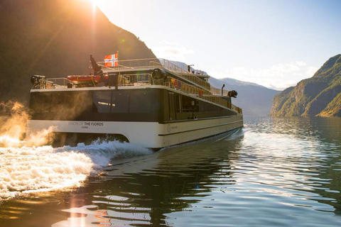 Visite guidée privée de la croisière Nærøyfjord d'Oslo et du chemin de fer de Flåm