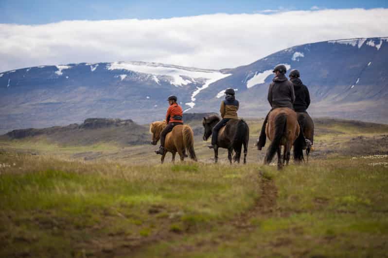 Varmahlid: Wikinger-Reittour