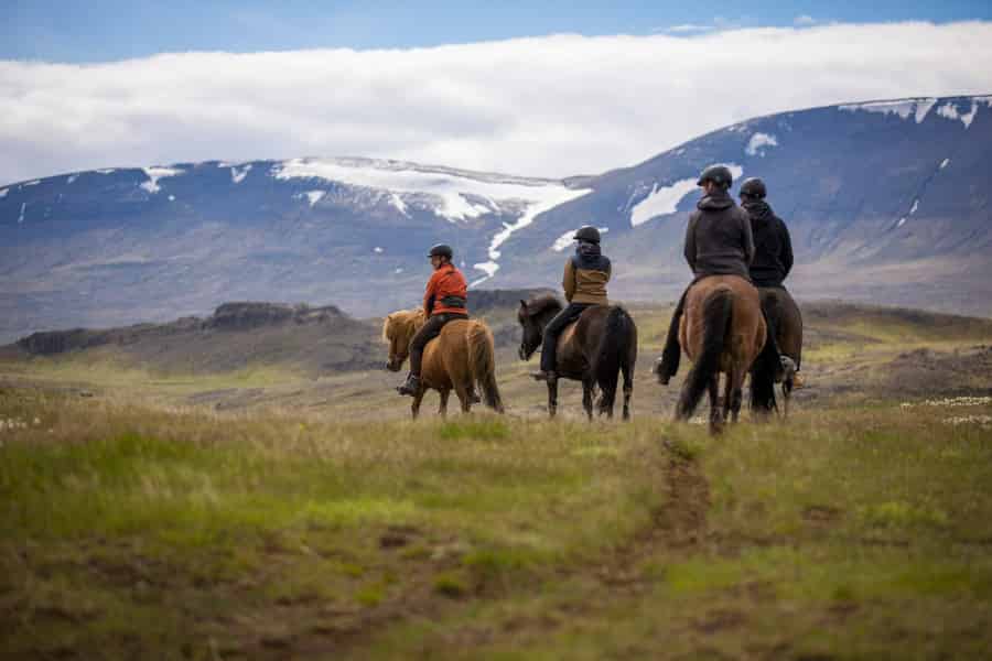 Varmahlid: Wikinger-Reittour. Foto: GetYourGuide Varmahlid: Wikinger-Reittour. Foto: GetYourGuide