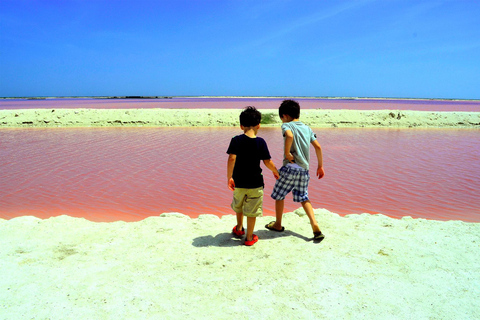 Från Cancun: Rundresa Las Coloradas och Rio Lagartos All Inclusive