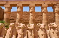 Luxor, Private Personalized Full-Day Transfer Tour - Housity