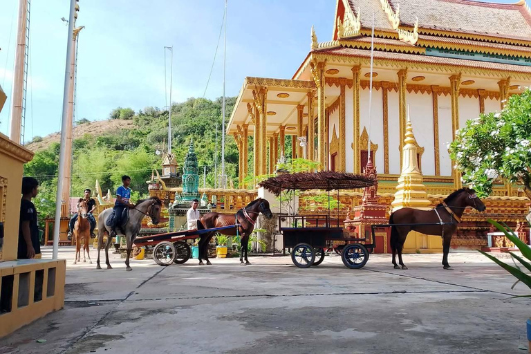 Siem Reap: Private Horseback & Horse-Drawn Carriage Rides (1 hour) Horseback Ride