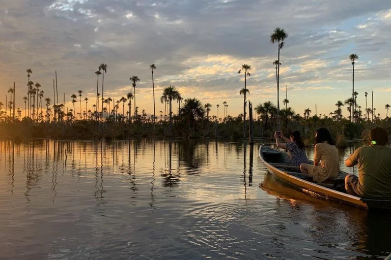 Puerto Maldonado: Excursión al lago Yacumama y puesta de sol