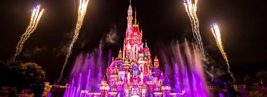Biglietti per il parco Disneyland di Hong Kong