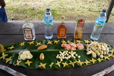 Dominica: Local Bush Rum Bar, Waterfall and River Pool Tour