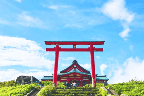 From Tokyo: Mount Fuji Full Day Customizable Private Tour