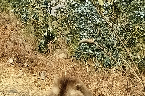 2-Day: Addis Ababa city tour & Debre Libanos with Lunch