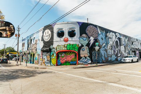 Tour di street art di 1 ora del Wynwood Art District in golf cart