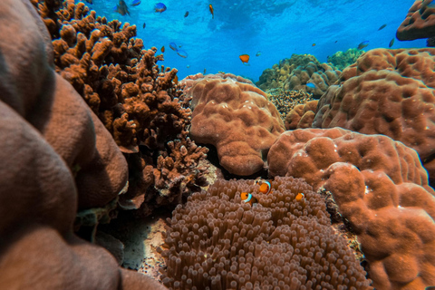 Khao Lak: Surinaamse eilanden snorkeltour met Moken dorp