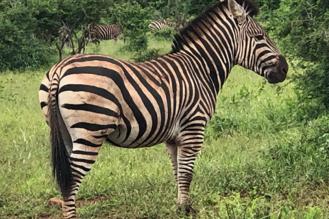 Safari de un día por el Parque Nacional de Maputo