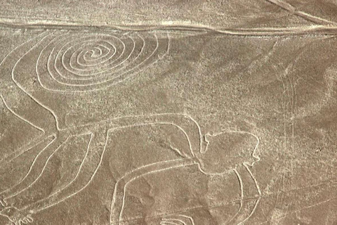 From Nazca: Flight in a light aircraft over the Nazca Lines