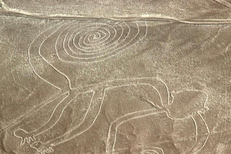 From Nazca: Flight in a light aircraft over the Nazca Lines
