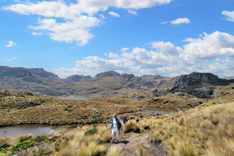 Tour di un giorno intero del Parco Nazionale di Cajas con pranzoTour condiviso con pranzo