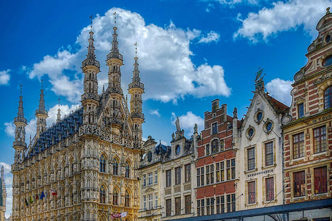 Leuven: Guided Tour with University and Town Hall