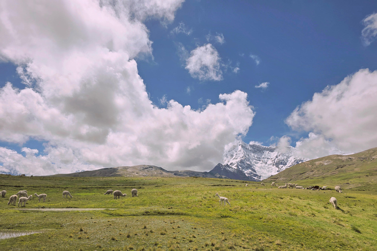 Ausangate Trek To Rainbow Mountain And Red Valley 5 Days