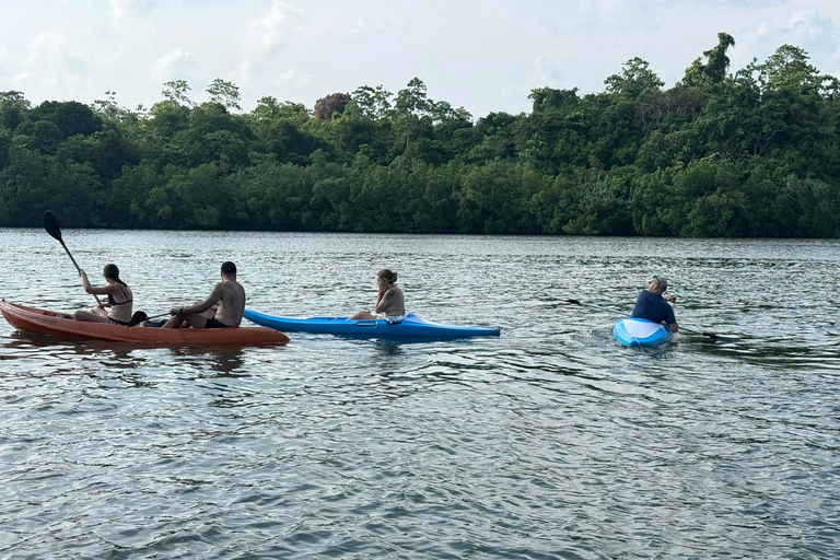 Bentota/Beruwala: Galle Fort, Koggala Lake & Kayaking Tour