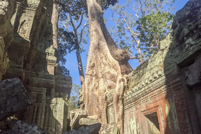 Siem Reap: Private Tour durch Angkor bei SonnenaufgangSiem Reap: Private Tour durch Angkor bei Sonnenaufgang & Hotelabholung