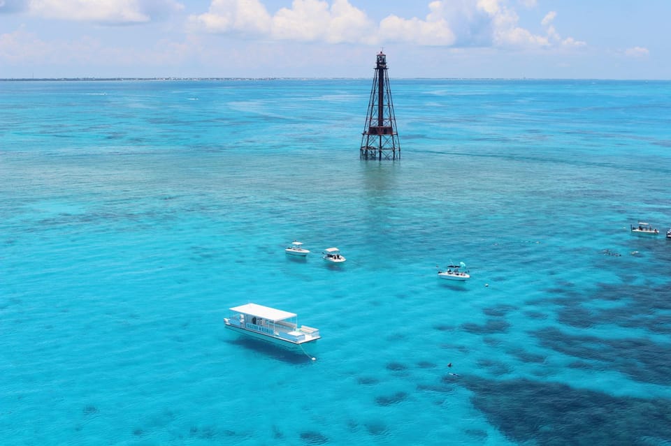 Marathon: Snorkel Adventure at Sombrero Key Light Reef | GetYourGuide