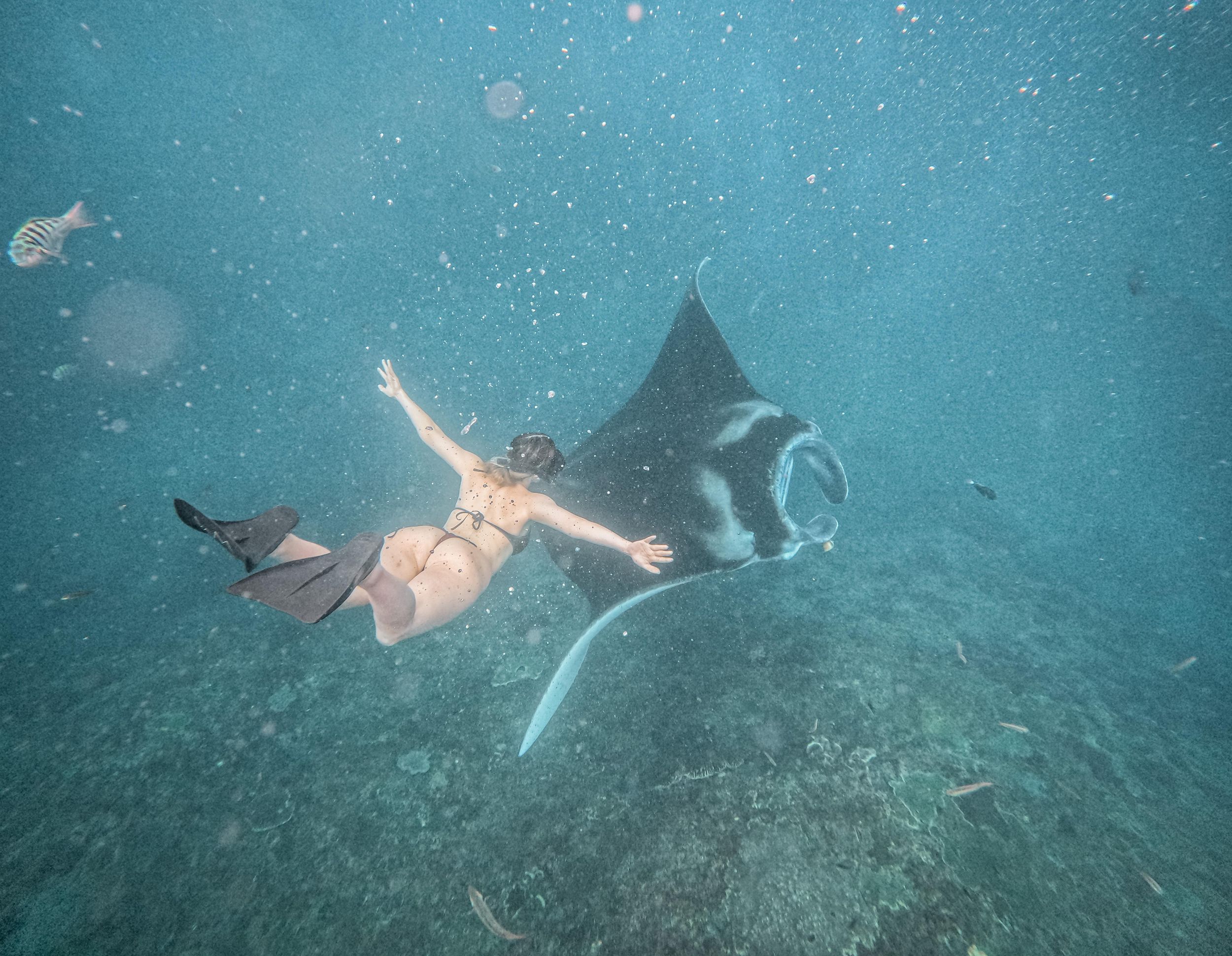 From Bali: Snorkeling 3 Spots with GoPro & West Penida Tour