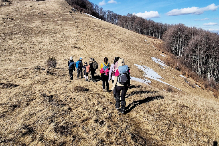 From Zarnesti: Magura Branului & Via Transilvanica Day Hike