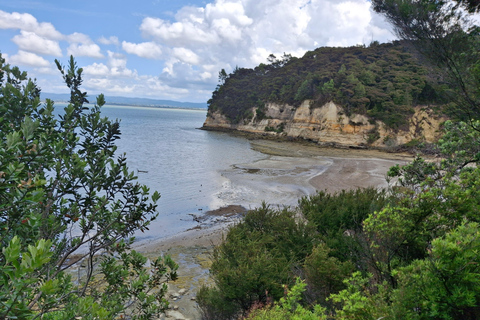 Auckland: Nature, Art, Seaside and Sugar Tour