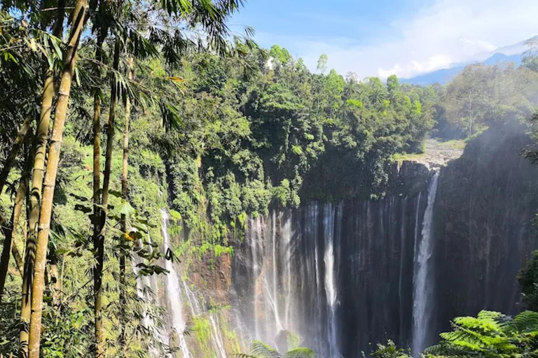 From Yogyakarta: Tumpak Sewu, Bromo, Ijen & Bali drop-off Yogyakarta to Bromo & Ijen only drop Bali